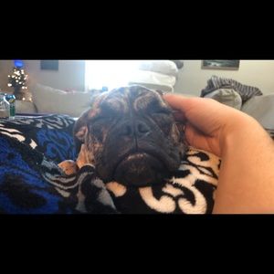 Meet your Posher, Adysyn